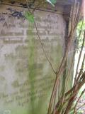 image of grave number 174250